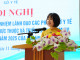 DSC04402Large.JPG