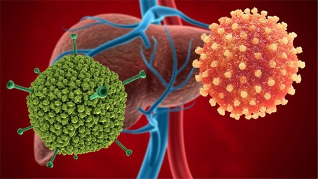 Adenovirus Nghi phạm gây bệnh viêm gan bí ẩn có khả năng gây bệnh gì
