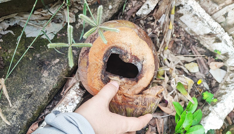 Những_hộ_dân_của_xã_Phúc_Trạch_được_bảo_vệ_bằng_hóa_chất_diệt_muỗi.4.jpg